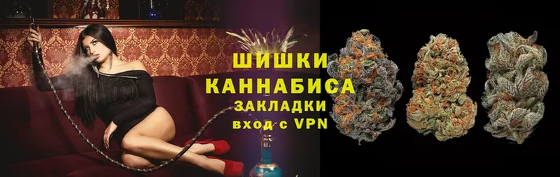 Бошки марихуана SATIVA & INDICA  Губкинский 